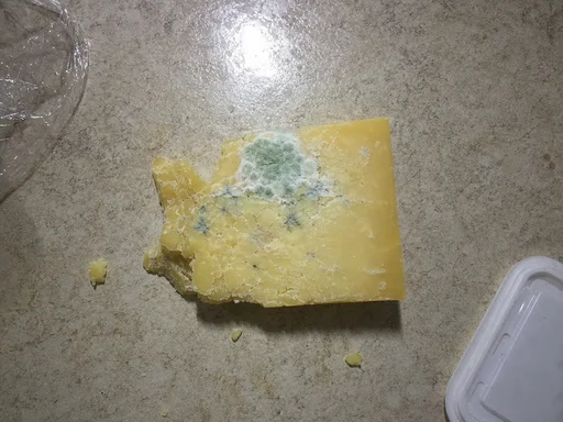The Rule About Cutting Mould Off Hard Cheese With A Generous Margin Is The Only Generous Thing This Generation Has Ever Done And It Is For Cheese
