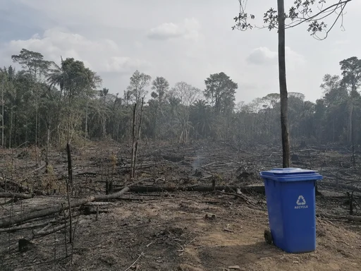 Amazon Tipping Point Could Accelerate Global Warming, But Sure, Tell Me About Your Recycling